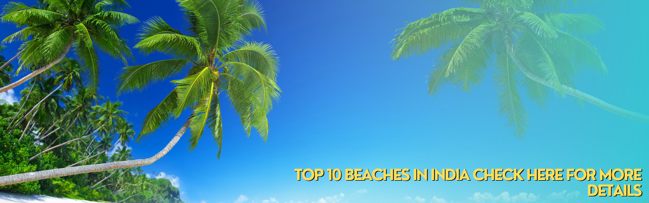 Top 10 Beaches in India Check
